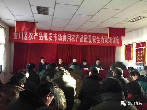 多措并举强监管　创新驱动保食安——金川区全面提升十九公里农批市场食用农产品质量安全保障水平